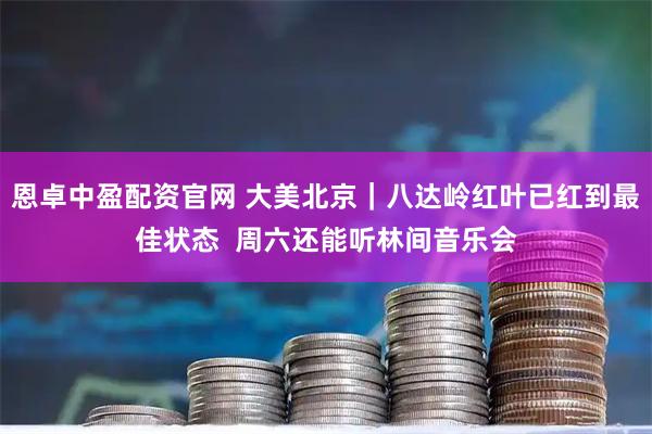 恩卓中盈配资官网 大美北京｜八达岭红叶已红到最佳状态  周六还能听林间音乐会