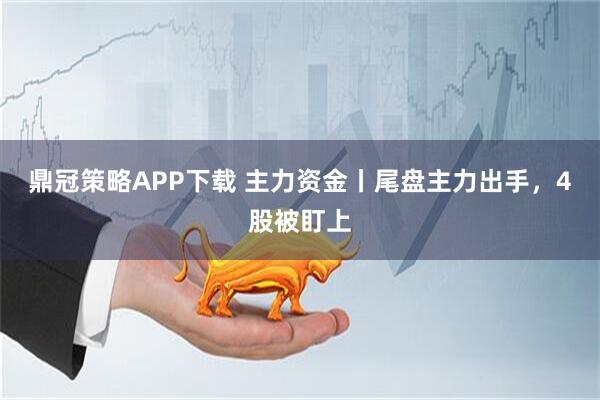 鼎冠策略APP下载 主力资金丨尾盘主力出手,4股被盯上