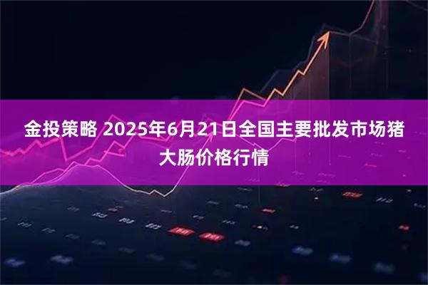 金投策略 2025年6月21日全国主要批发市场猪大肠价格行情