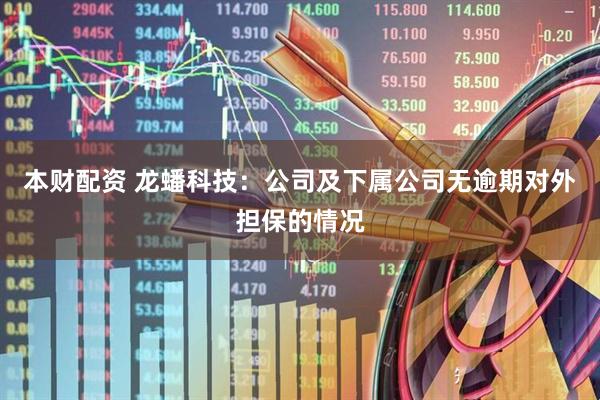 本财配资 龙蟠科技：公司及下属公司无逾期对外担保的情况
