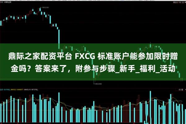 鼎际之家配资平台 FXCG 标准账户能参加限时赠金吗?答案来了,附参与步骤_新手_福利_活动