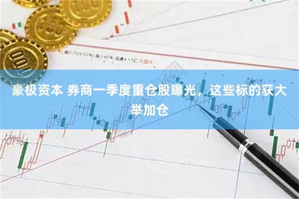 豪极资本 券商一季度重仓股曝光，这些标的获大举加仓